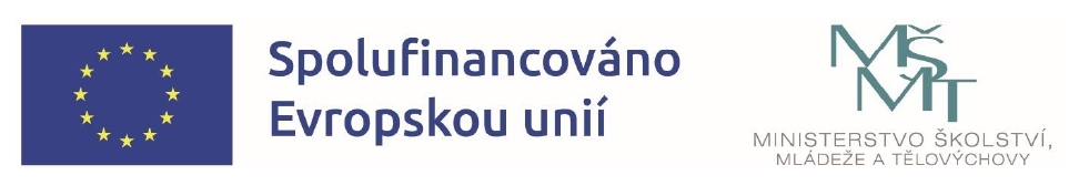 Projekt je spolufinancován Evropskou unií.